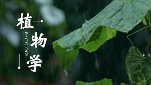 植物学视频教程_黄爱军_浙江大学