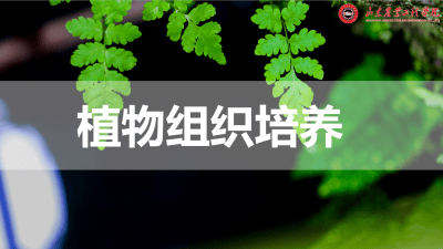 植物组织培养视频教程_陈利萍_浙江大学