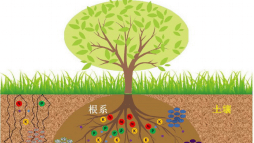 土壤肥料学视频教程_林启美_中国农业大学