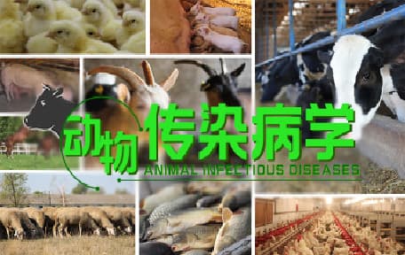 家畜传染病学(甲)视频教程_余旭平_浙江大学