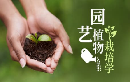 园艺栽培学基础视频教程_寿森炎_浙江大学