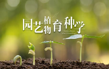 园艺育种学基础(上)视频教程_汪炳良_浙江大学