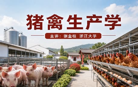 猪禽生产学视频教程_张金枝_浙江大学
