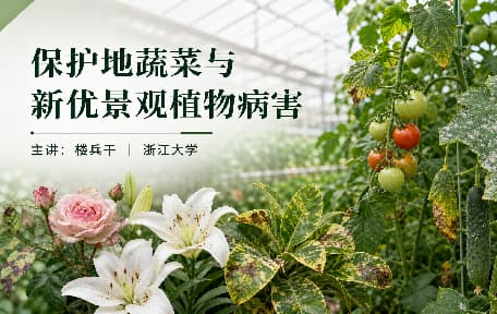 植物保护学视频教程_施祖华、李红叶_浙江大学