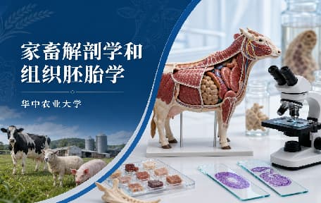 家畜解剖学和组织胚胎学视频教程_华中农业大学