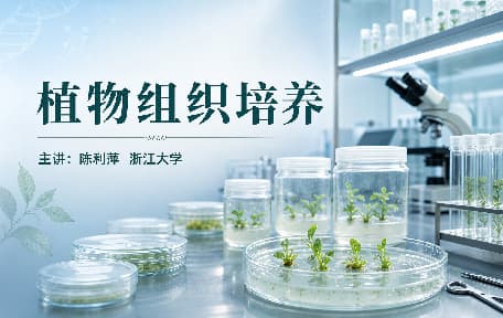 植物组织培养视频教程_陈利萍_浙江大学