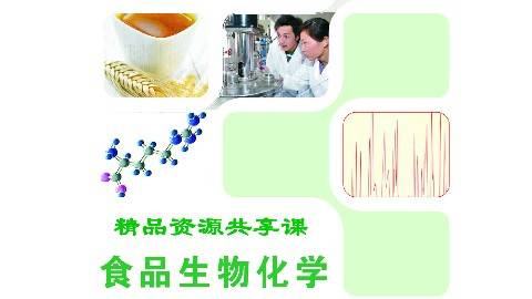 《食品生物化学》PPT课件 焦宇知 江苏食品药品职业技术学院