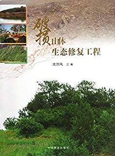 破损山体生态修复工程