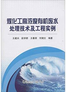 煤化工高浓度有机废水处理技术及工程实例