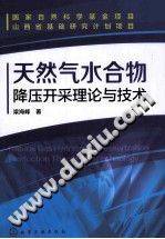 天然气水合物降压开采理论与技术