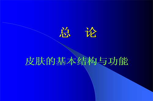 皮肤性病学视频教程 郑州大学