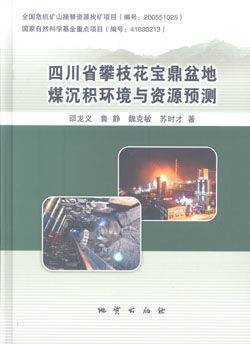 四川省攀枝花宝鼎盆地煤沉积环境与资源预测