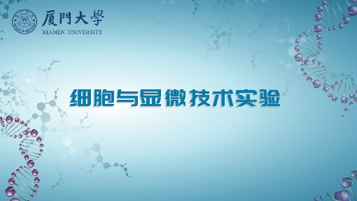 细胞与显微技术实验_厦门大学