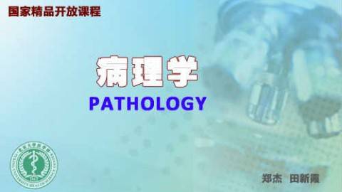 《病理学》PPT课件 田新霞 北京大学