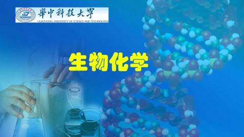 《生物化学》PPT课件 冯作化 华中科技大学