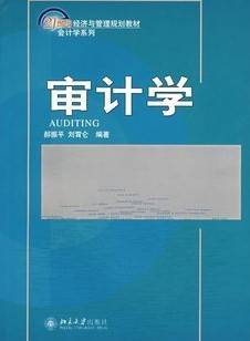 高级审计学视频教程 周爱玲 西北工业大学