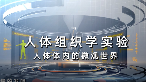 人体体内的微观世界-人体组织学实验_浙江大学