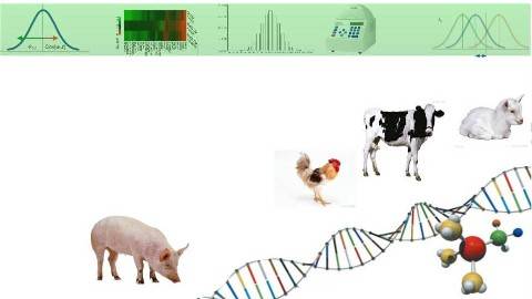 《家畜育种学》PPT课件 刘榜 华中农业大学