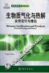 生物质气化与热解：实用设计与理论（导读版）