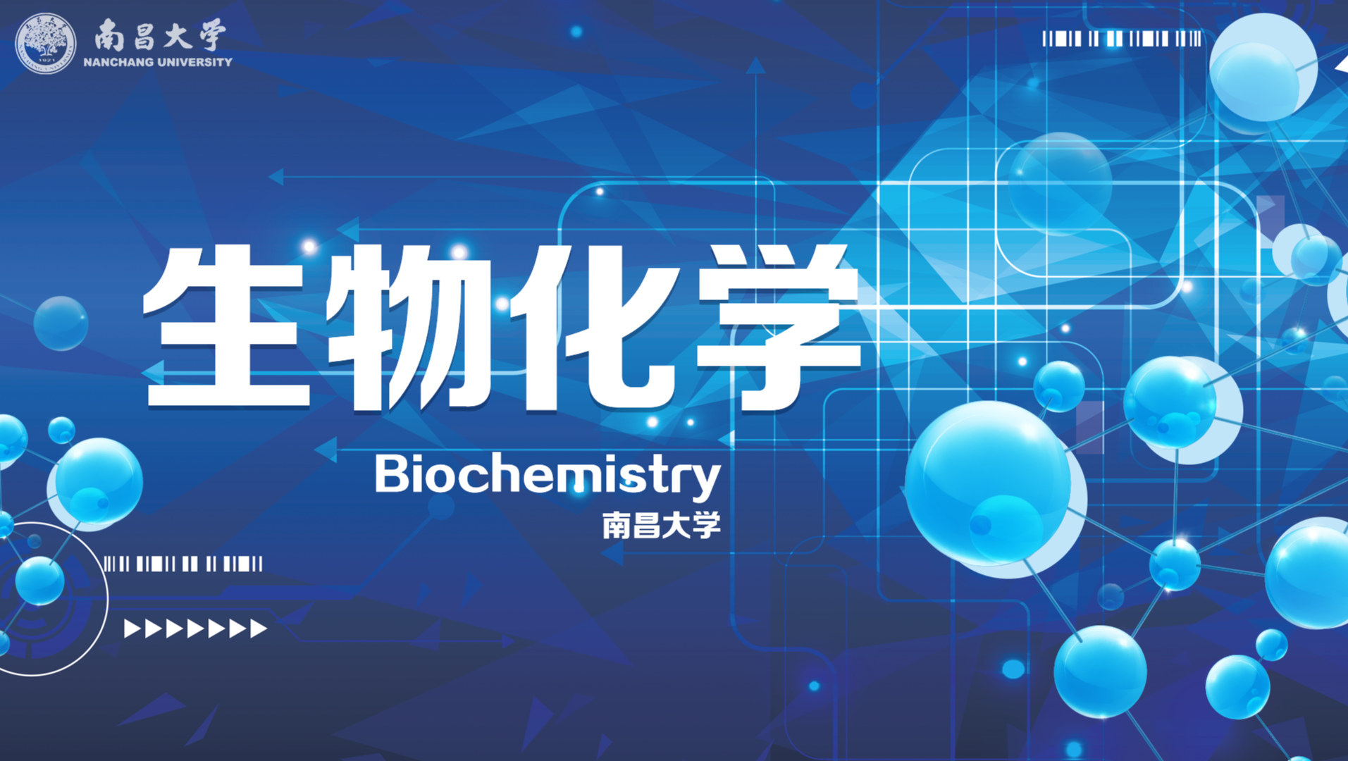 《生物化学》PPT课件 汪艳璐  南昌大学