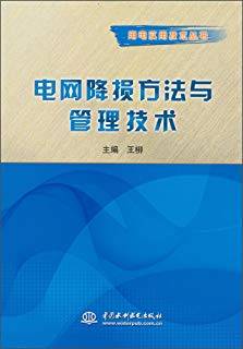 电网降损方法与管理技术