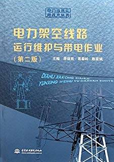 电力架空线路运行维护与带电作业 第二版