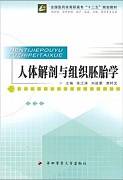 人体组织学与胚胎学视频教程 42讲 侍继忠 中国医科大学