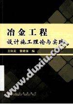 冶金工程设计施工理论与实践