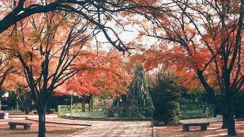 《诊断学》PPT课件 卢雪峰 山东大学