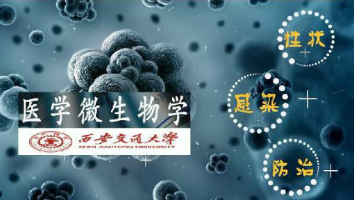 医学微生物学_西安交通大学