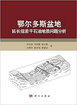 鄂尔多斯盆地延长组若干石油地质问题分析