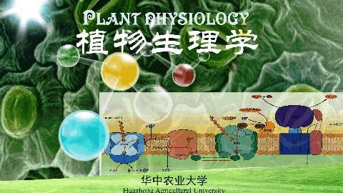 《植物生理学》PPT课件 黄见良 华中农业大学