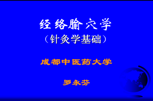 经络腧穴学视频教程 罗永芬 成都中医药大学