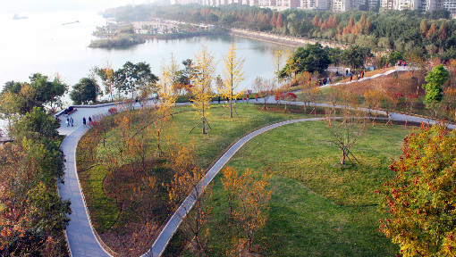 《风景园林规划设计——城市滨水景观》PPT课件 李倞  北京林业大学