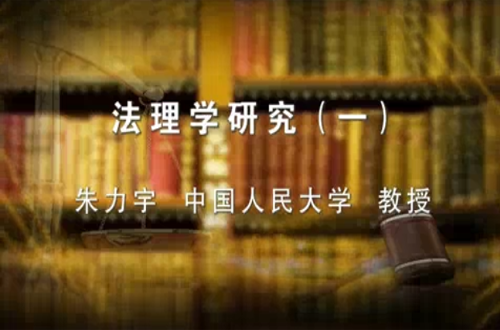 法理学研究视频教程 朱力宇 人民大学