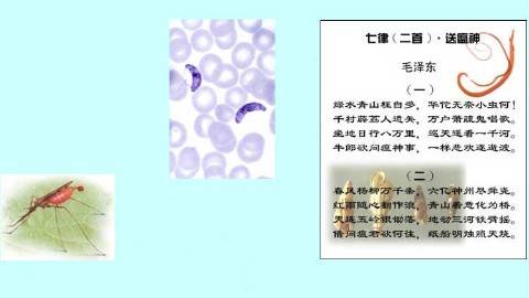 《人体寄生虫学》PPT课件 刘文琪 华中科技大学