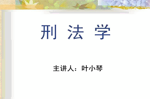 刑法视频教程 叶小琴 武汉大学