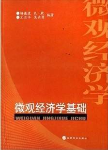 微观经济学基础视频教程 35讲 佟仁城 中国科学院