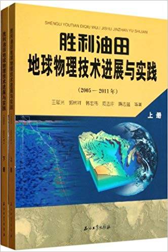 胜利油田地球物理技术进展与实践 2005-2011年