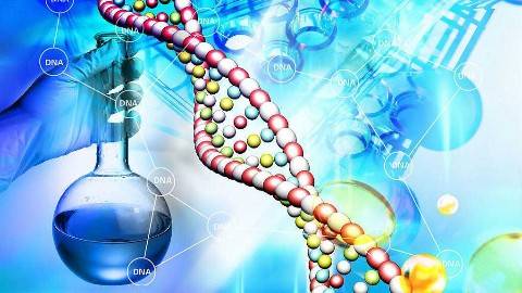 《生物技术制药》PPT课件 李校堃 温州医科大学