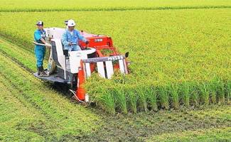 当前中国农业的政治经济学视频教程 程同顺 南开大学