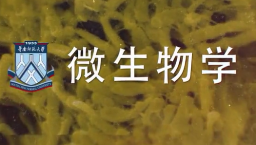 《微生物学》PPT课件 张松  华南师范大学