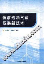 低渗透油气藏压裂新技术