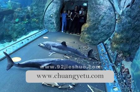 《死亡水族馆》电影解说文案