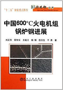 中国600℃火电机组锅炉钢进展