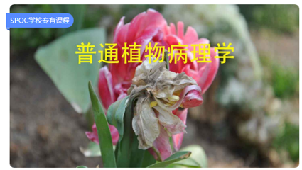 普通植物病理学_华中农业大学