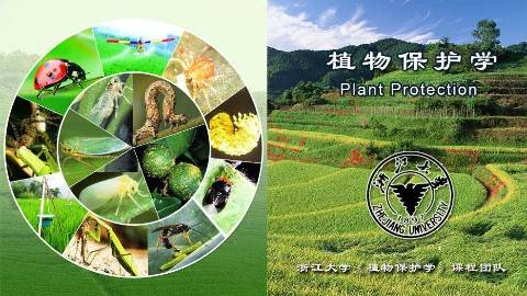 《植物保护学》PPT课件 叶恭银 浙江大学