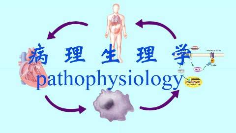 《病理生理学》PPT课件 吴立玲 北京大学