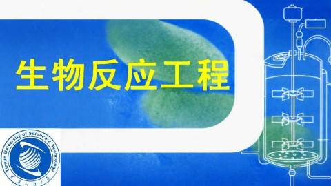 《生物反应工程》PPT课件 贾士儒 天津科技大学