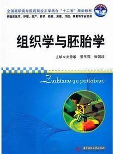 组织学与胚胎学视频教程 中国医科大学